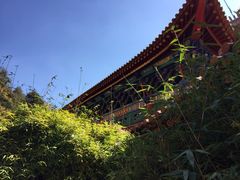 iphone_upload_pic-圆通禅寺