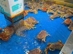 -盒马鲜生(悦峰店)