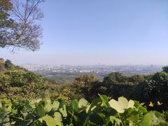 -南京老山国家森林公园