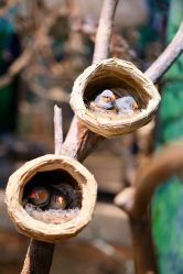 -Zoolung Zoolung动物主题公园(海信广场店)