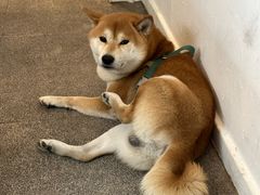-三目仓咖啡(贤南路店)