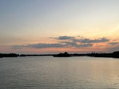 -贡湖湾湿地公园