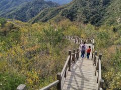 -大岭沟猕猴桃谷风景区