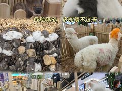 -中集金地美兰城