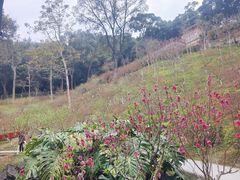 -桃花涧