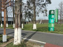 -黄海国家森林公园