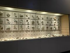 -龙泉青瓷博物馆