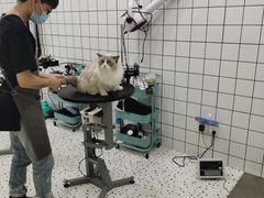 -BABIT巴比特宠物(MOMOPARK店)