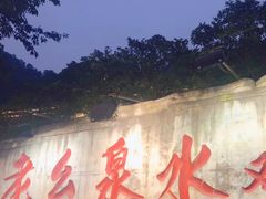 -老幺泉水鸡