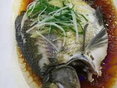 -新苑酒家(嘉宾路店)
