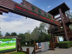 -古塔公园