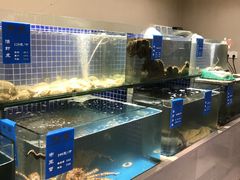 -味莊·青岛菜(云霄路店)
