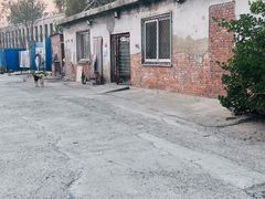 -地桌烤肉(顺白路店)