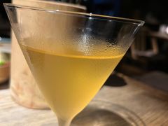 -毛辣果·酸(OHA复兴西路店)