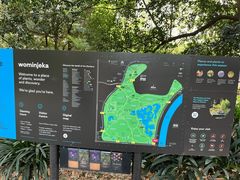 -墨尔本皇家植物园