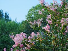 -杭州城北体育公园