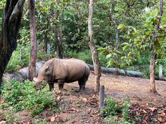 -清迈夜间动物园