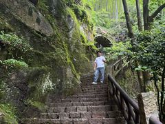 -莫干山风景区