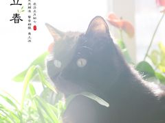 -达爱动物医院·犬猫分区·CT·复杂眼科(远洋山水分院)