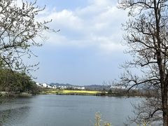 -婺源月亮湾