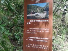 -王顺山国家森林公园