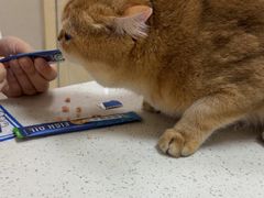 -瑞鹏宠物医院·普外科·影像科·皮肤科(城市山谷分院)