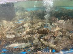 -盒马鲜生(文景博乐里购物广场店)