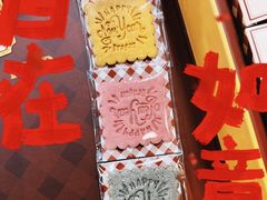 -极斗-IKMF马伽术·格斗运动学院(东直门店)