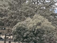 -奈良公园