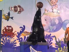 -太平洋海底世界