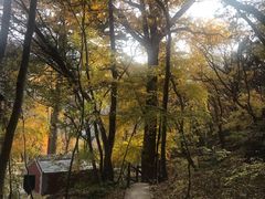 -北京上方山国家森林公园