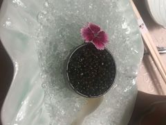 -九献私房菜(亮马河花园私宴店)