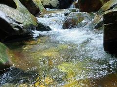 -鼎湖山风景区