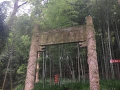 -杭州黄龙洞