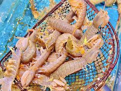 -好兄弟郭巨海鲜(天一阁店)