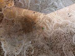 -烟台碧海饭店(烟台火车站店)