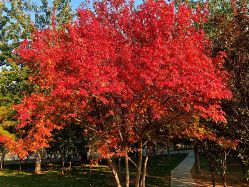 -大望京儿童游乐场