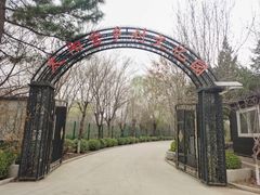-太阳宫公园