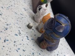 -半岛宠物医院24小时(白果林店)