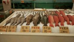 -国惠大酒楼(爱琴海购物公园店)