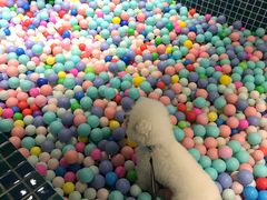 -太阳岛度假酒店