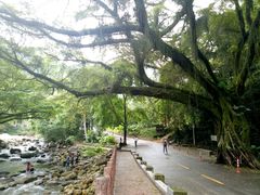 -广州市石门国家森林公园