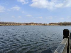 -溱湖国家湿地公园