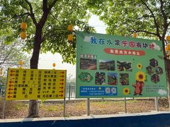 -新塘水果乐园(东洲大道店)