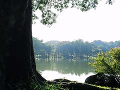 -东莞植物园