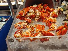 -北京希尔顿逸林酒店-逸轩西餐厅-自助餐厅