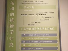 -中国茶叶博物馆(双峰馆区)
