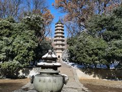 -灵谷景区