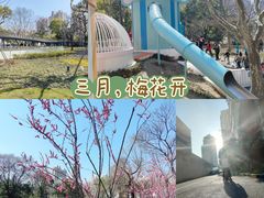-和平公园