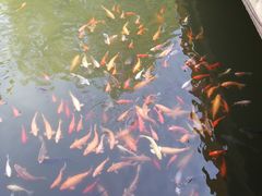 -威海华夏城景区